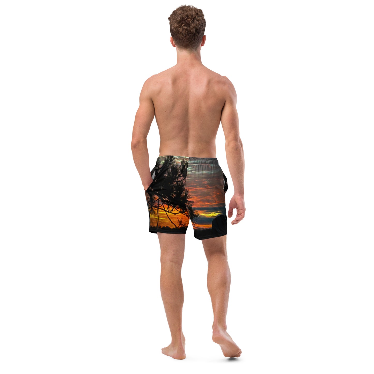 Falls Last Light Men's swim trunks