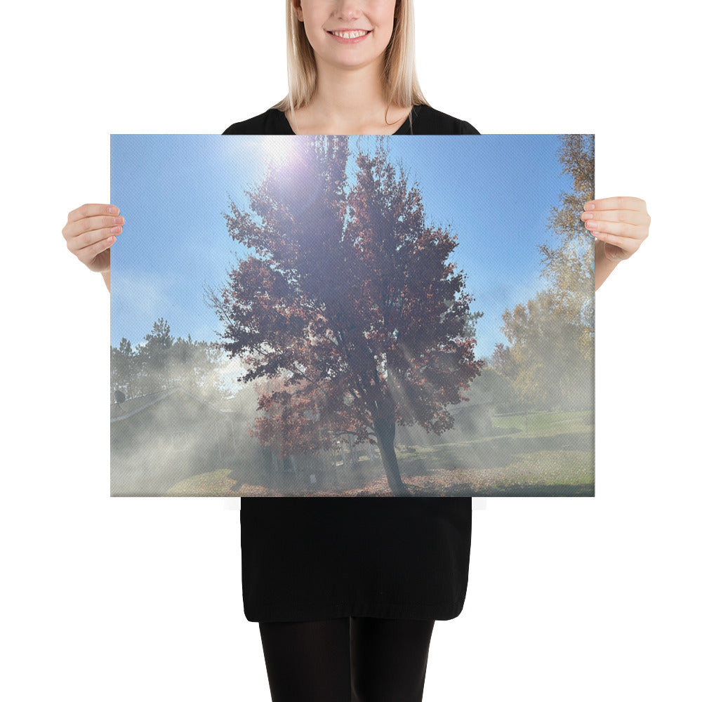 Smokey Tree Canvas
