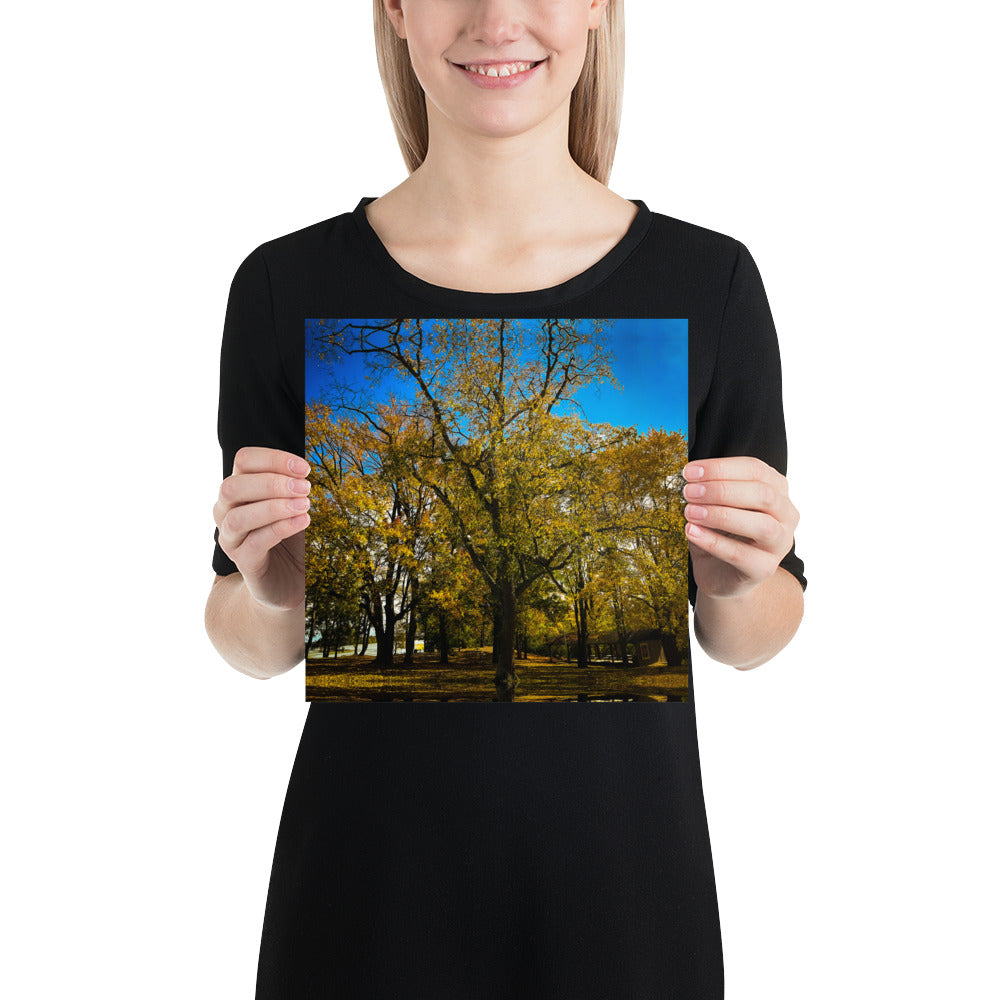 Fall Isles Poster