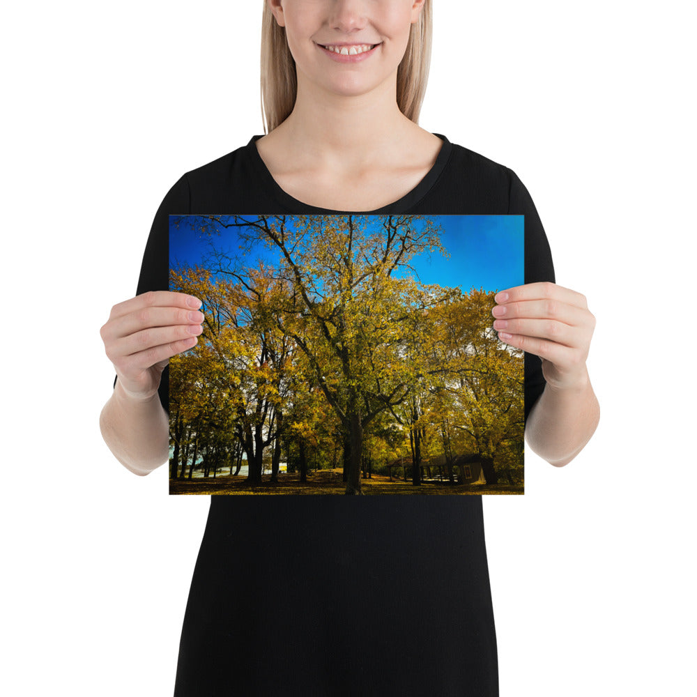 Fall Isles Poster