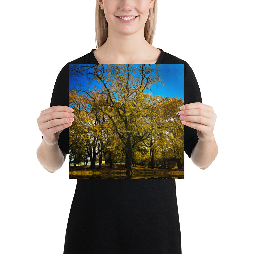 Fall Isles Poster