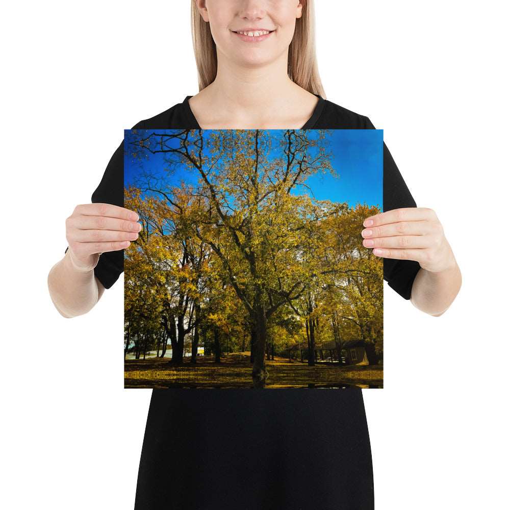 Fall Isles Poster