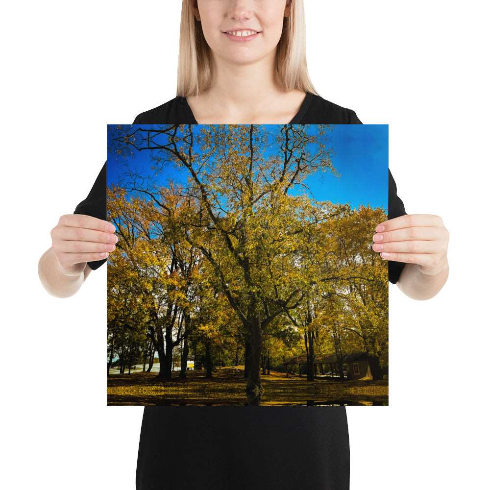 Fall Isles Poster