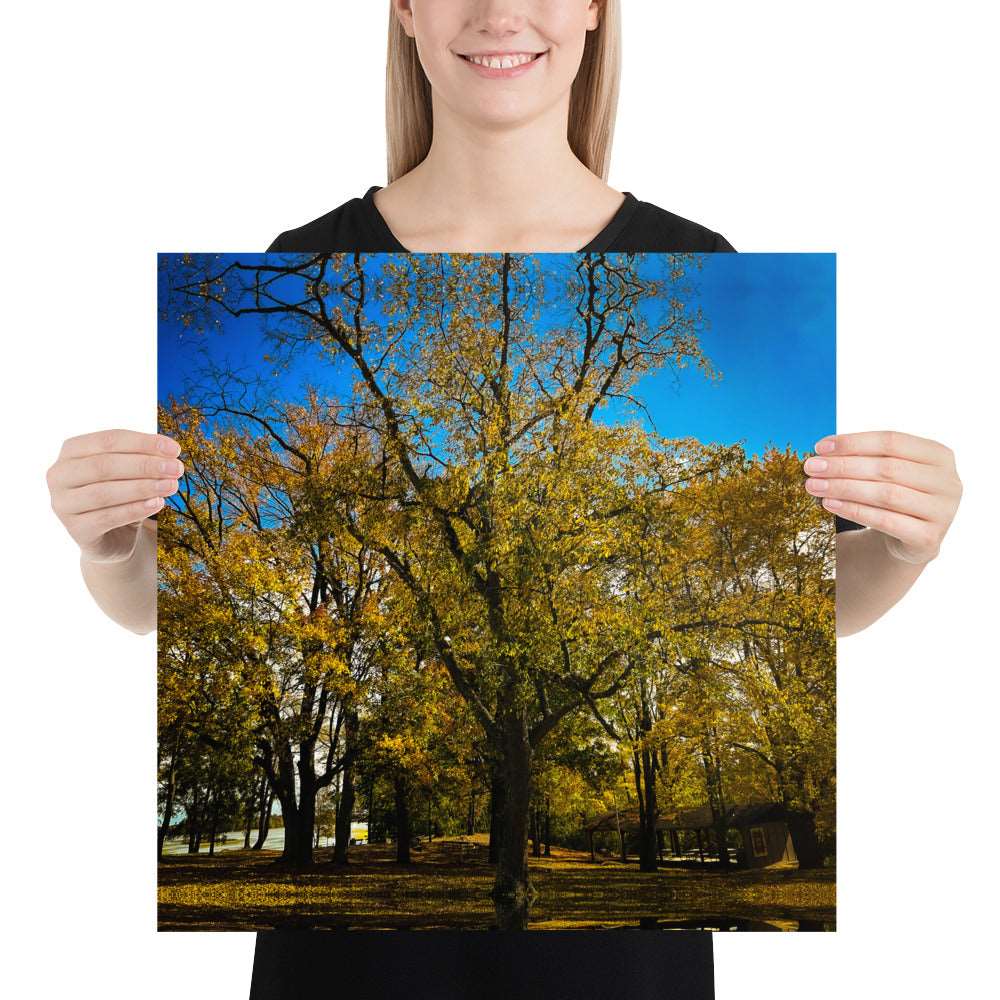 Fall Isles Poster