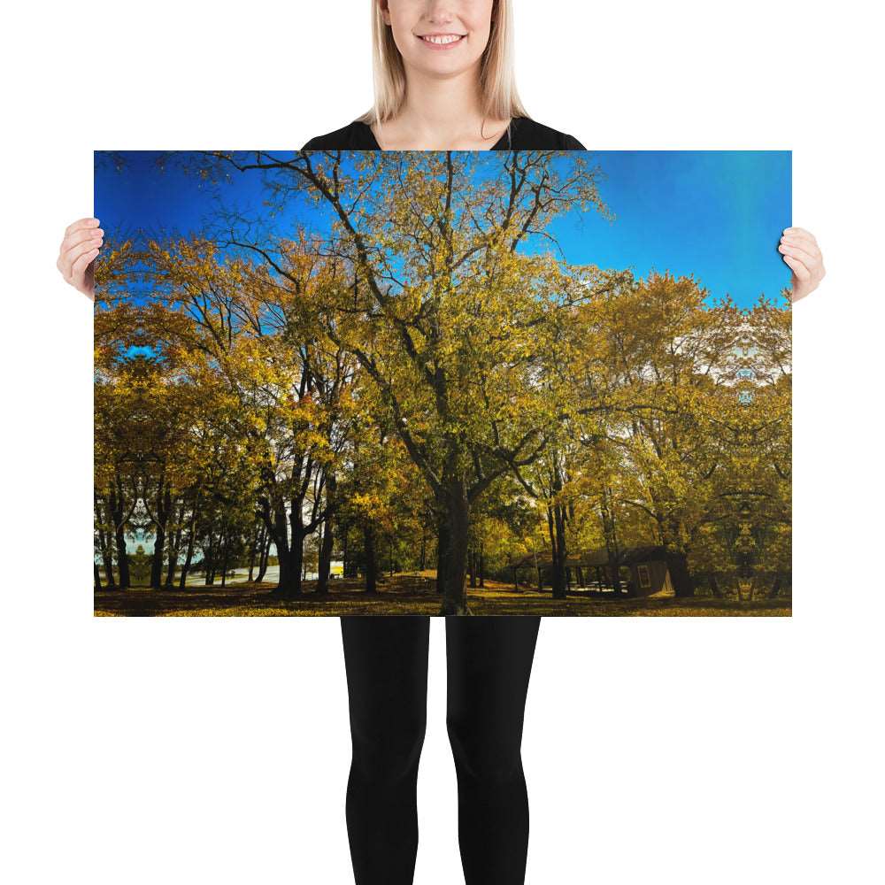 Fall Isles Poster