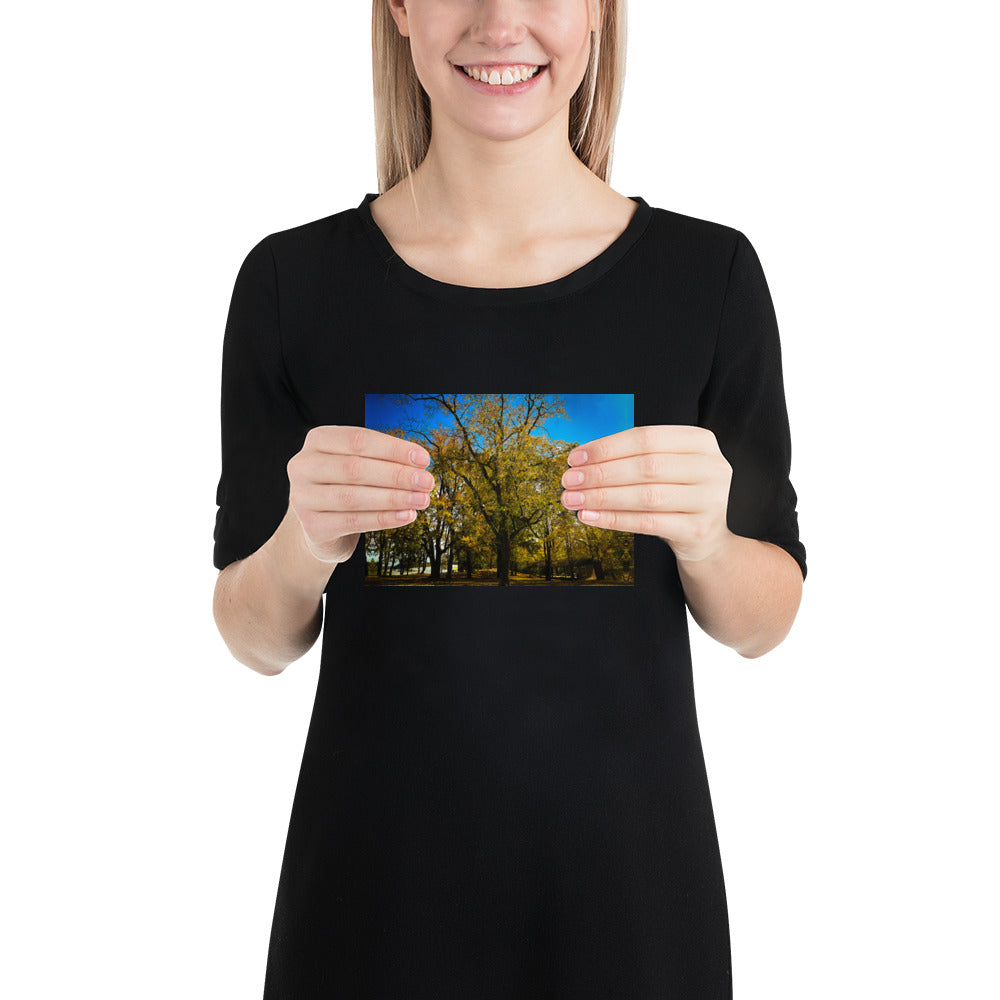 Fall Isles Poster