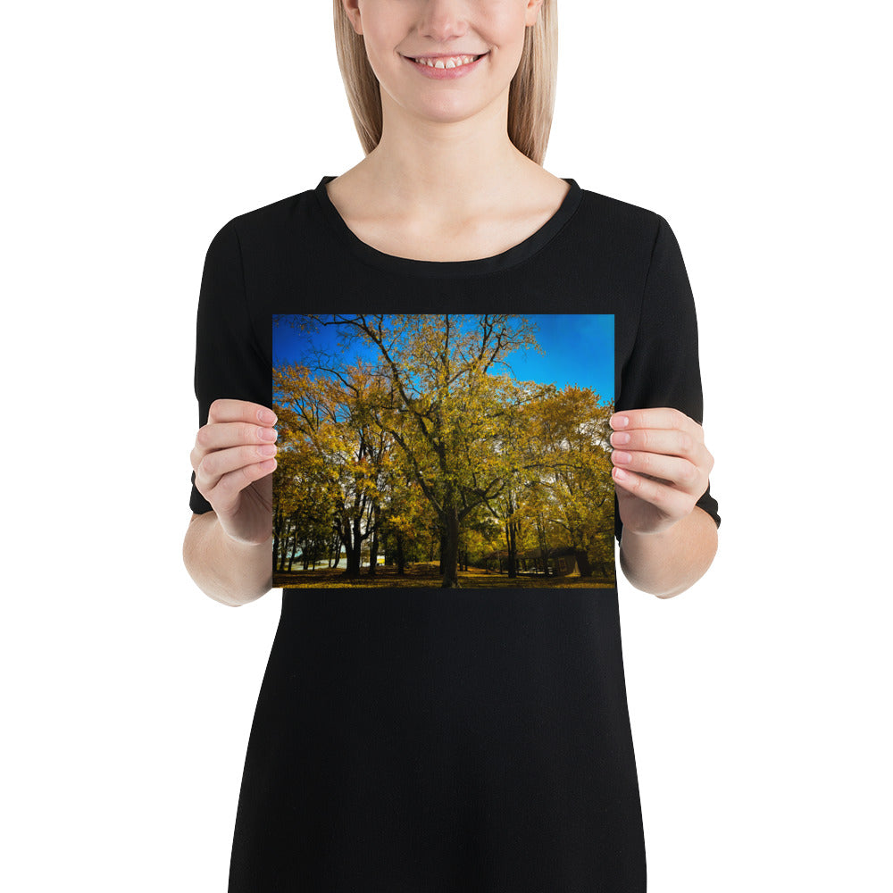 Fall Isles Poster