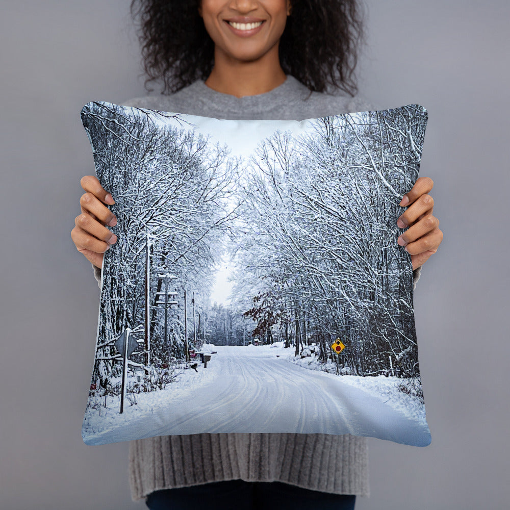 Path Of Snow Pillow