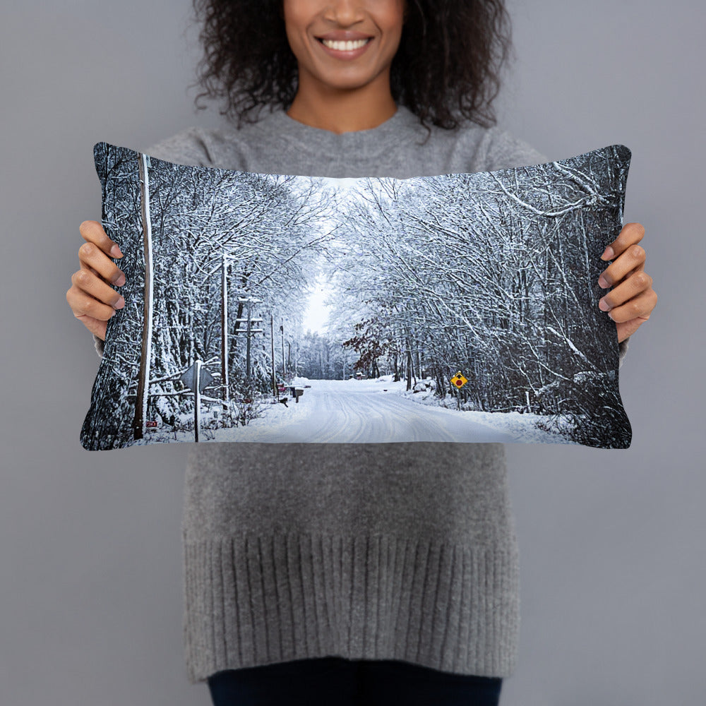 Path Of Snow Pillow