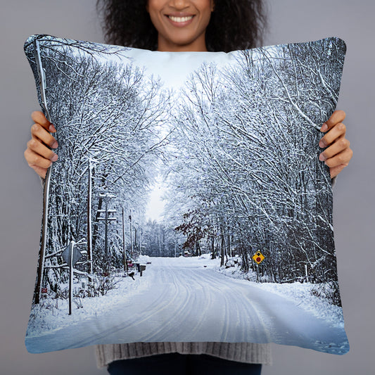 Path Of Snow Pillow