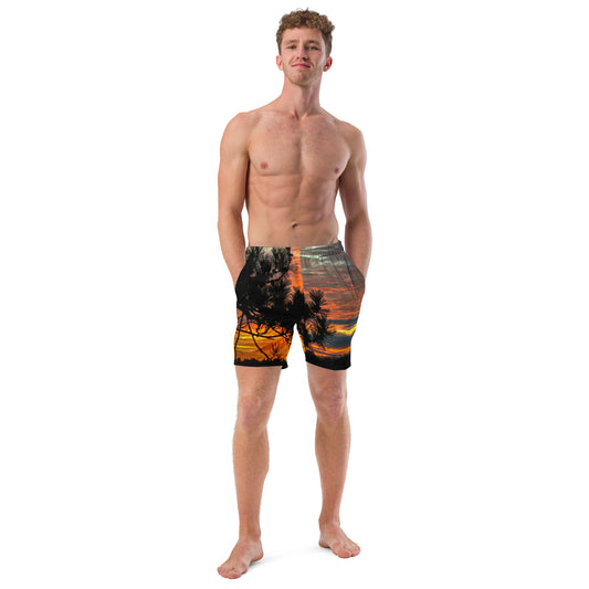 Falls Last Light Men's swim trunks