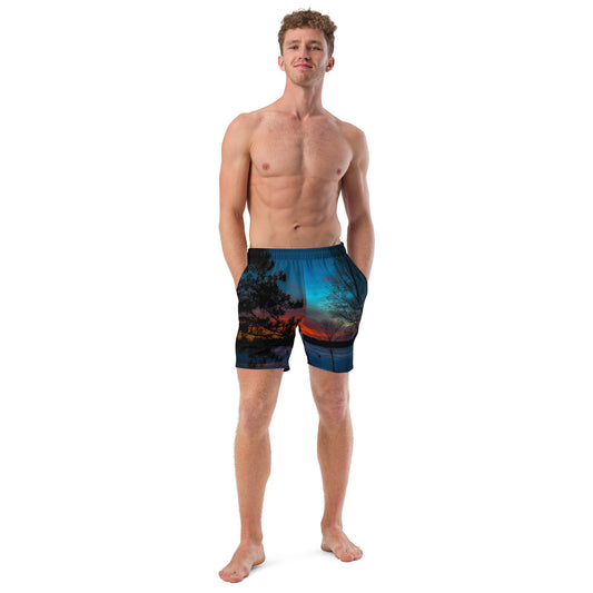 Winter last Light Men's swim trunks