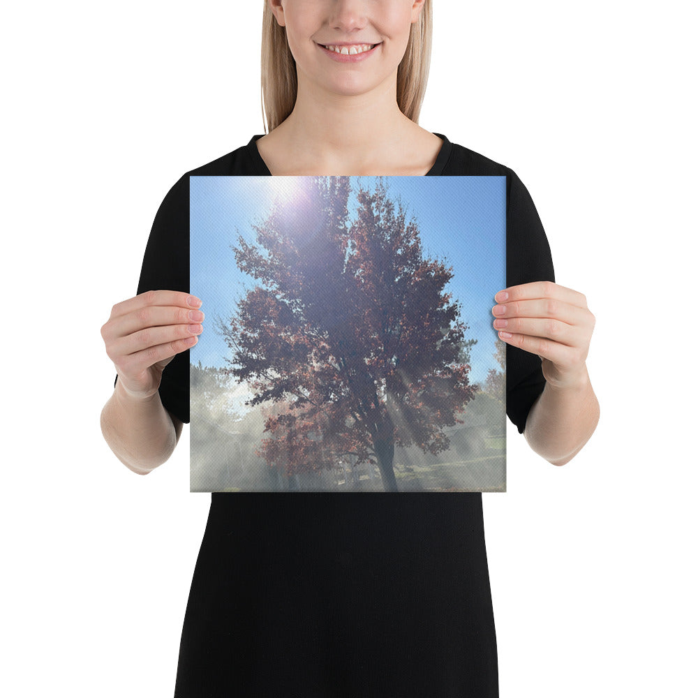 Smokey Tree Canvas