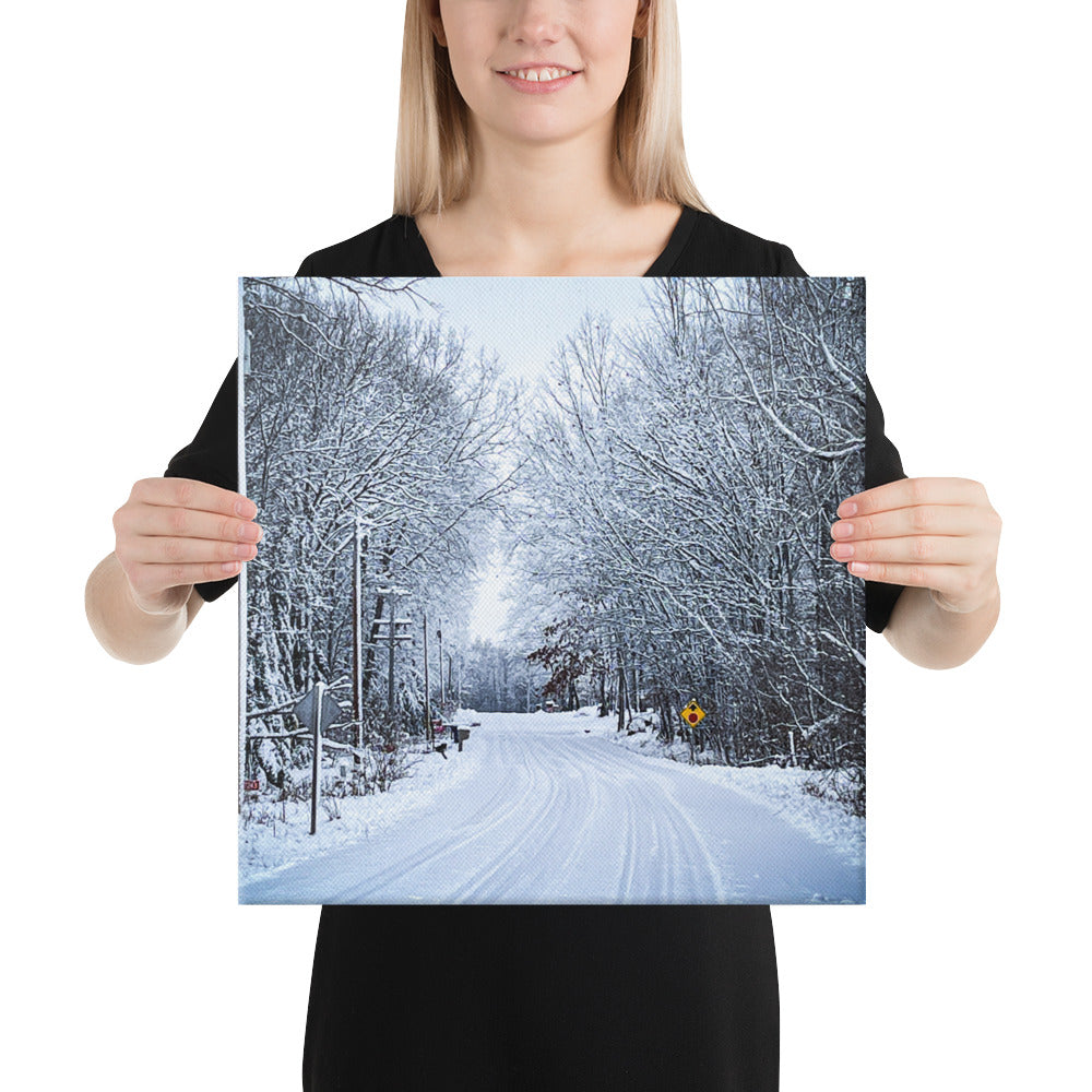 Path Of Snow Canvas