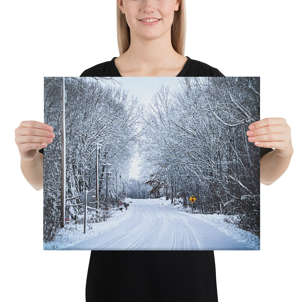 Path Of Snow Canvas