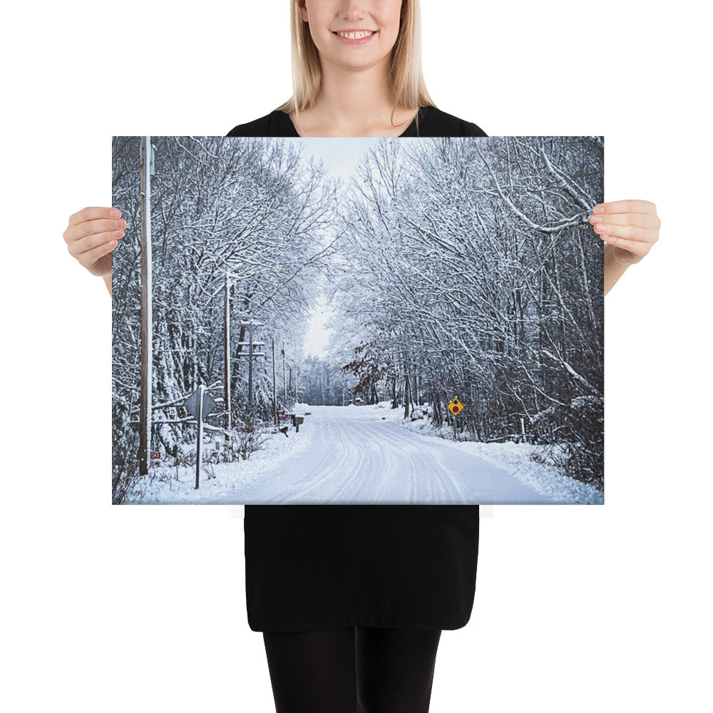 Path Of Snow Canvas