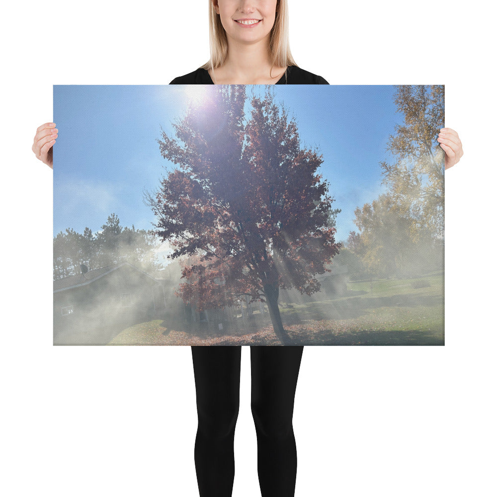 Smokey Tree Canvas