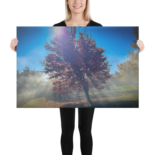 Smokey Tree Color Canvas