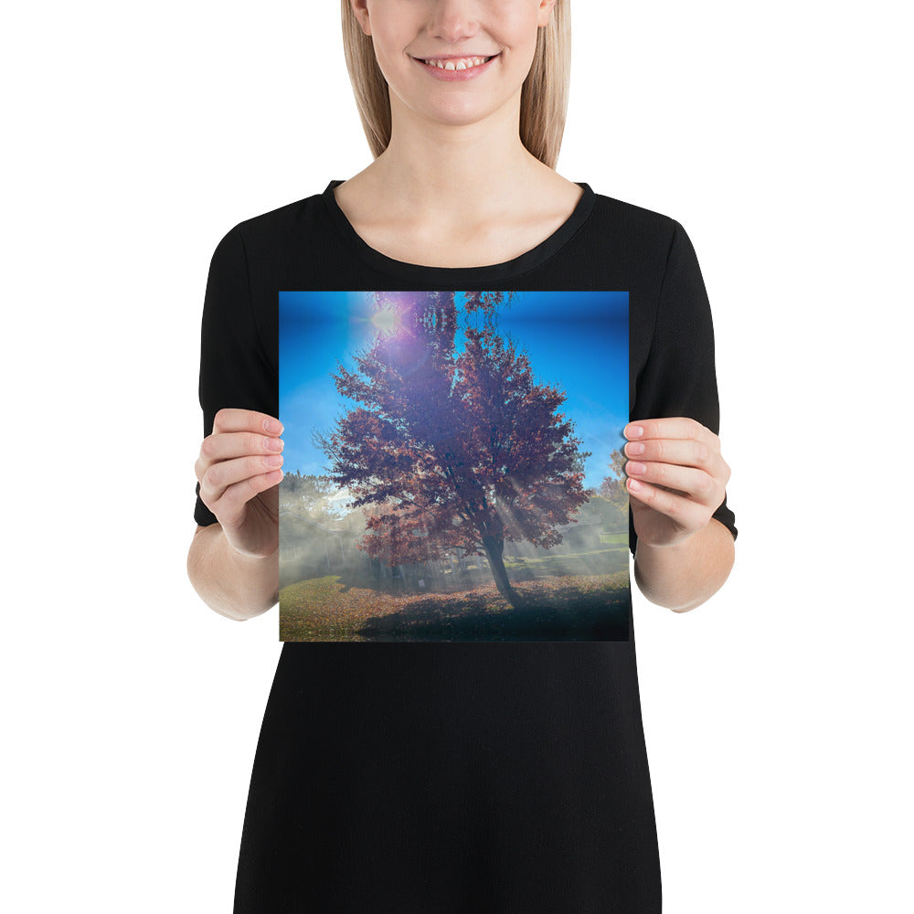 Smokey Tree Color Poster