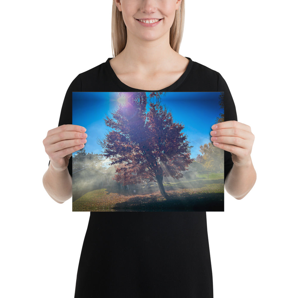 Smokey Tree Color Poster