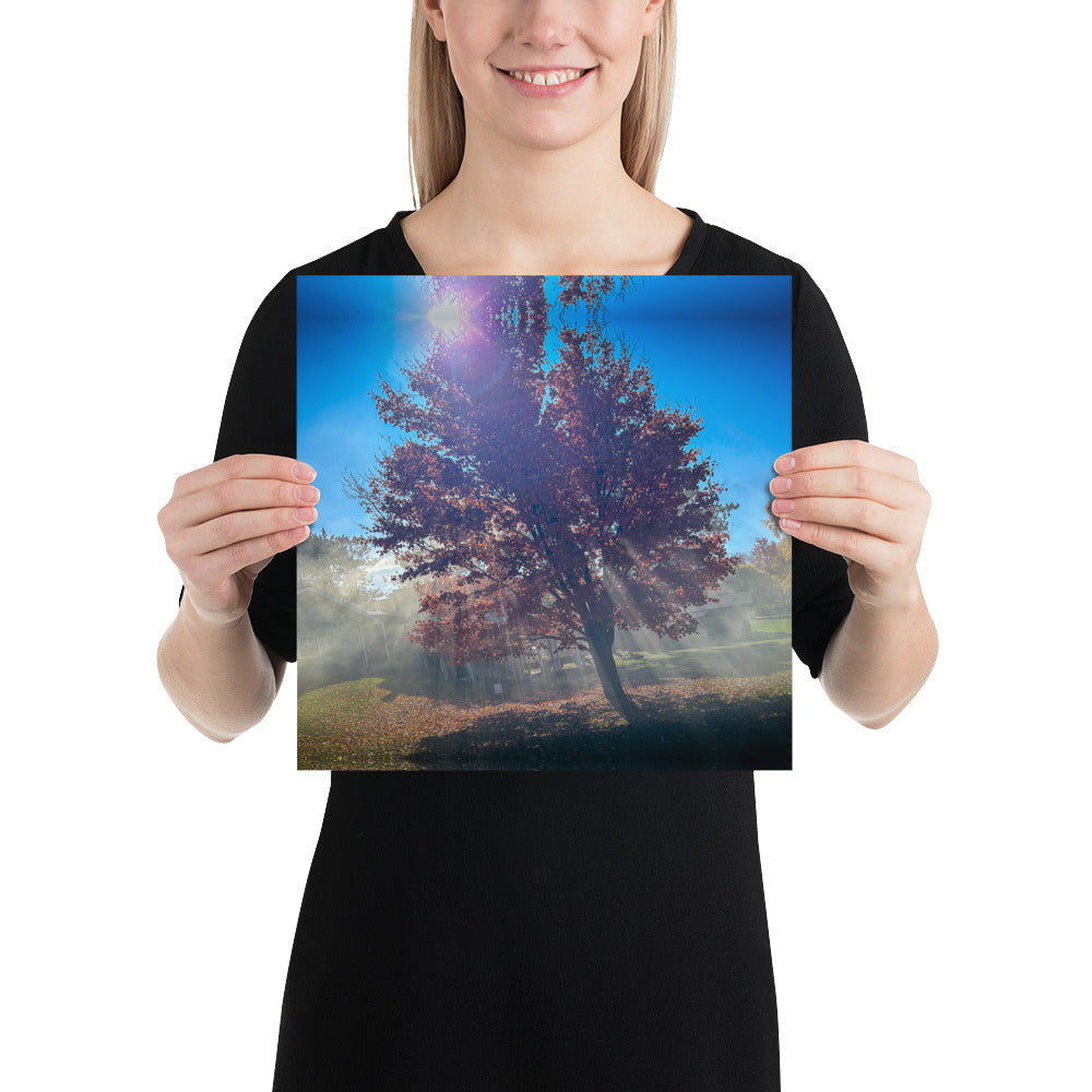 Smokey Tree Color Poster