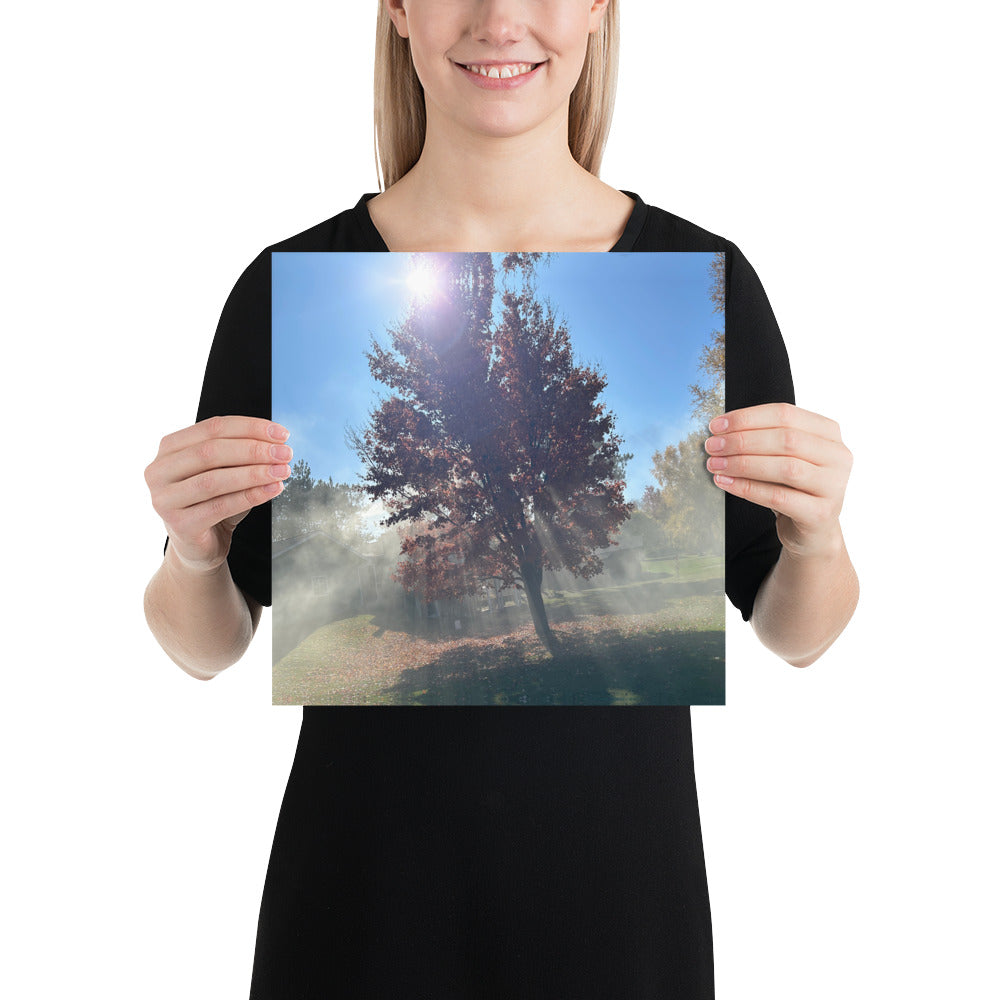 Smokey Tree Poster