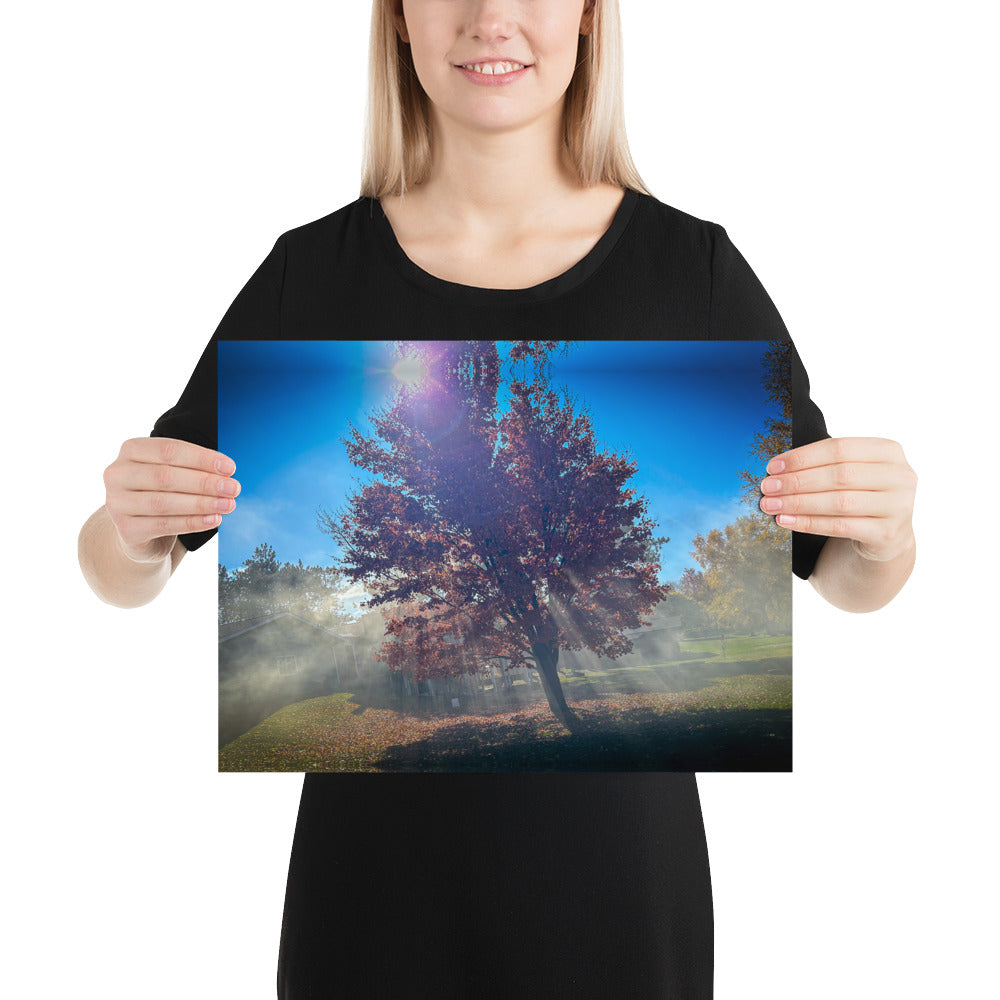 Smokey Tree Color Poster