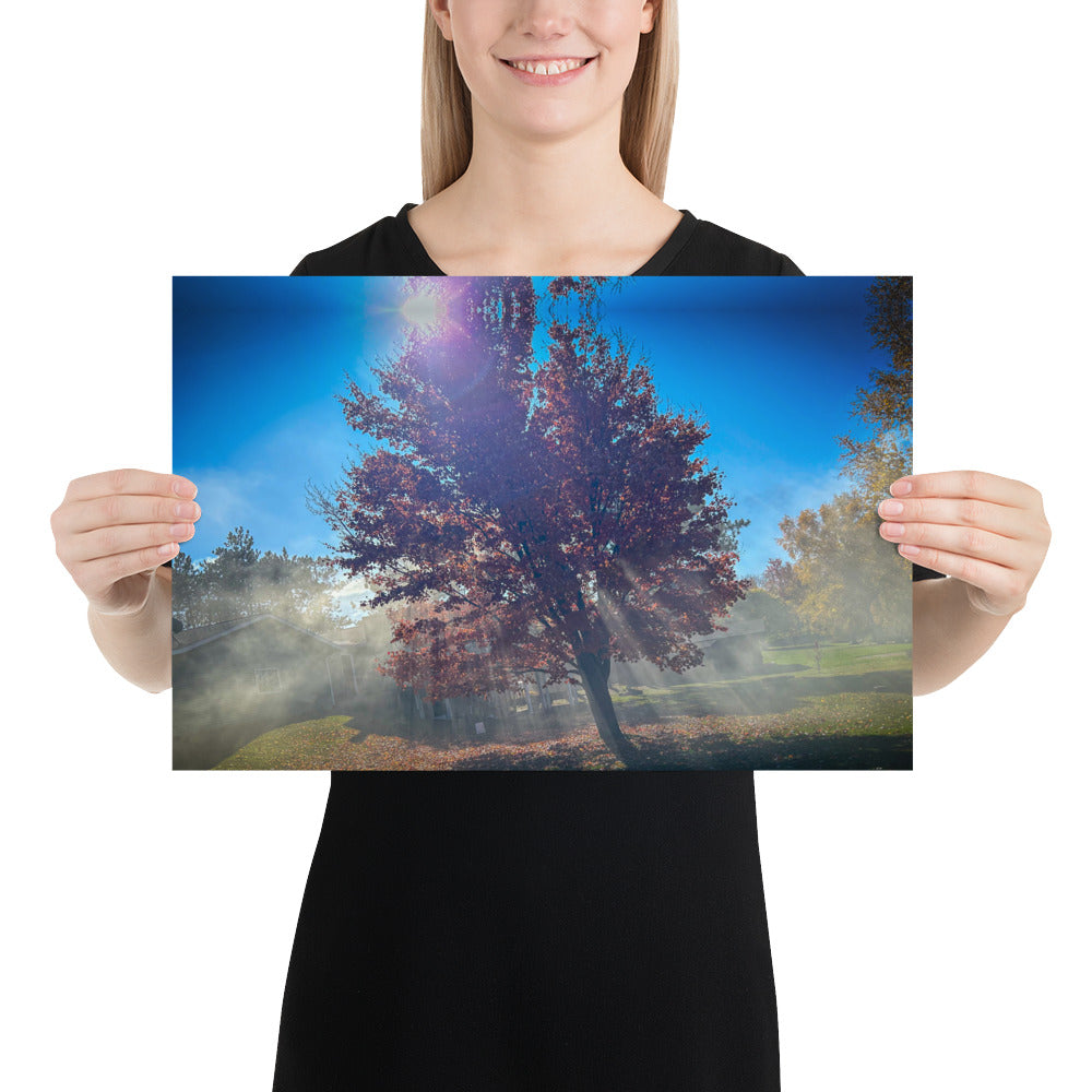 Smokey Tree Color Poster