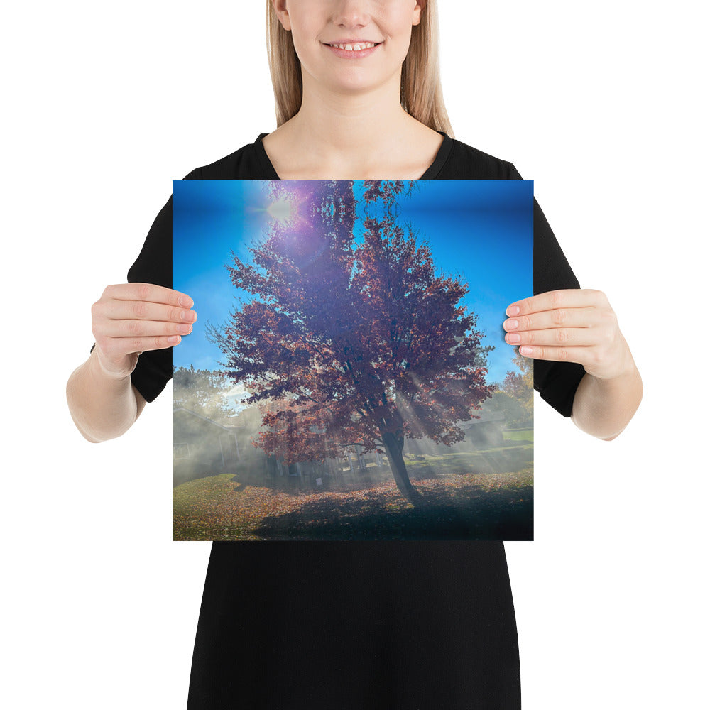 Smokey Tree Color Poster