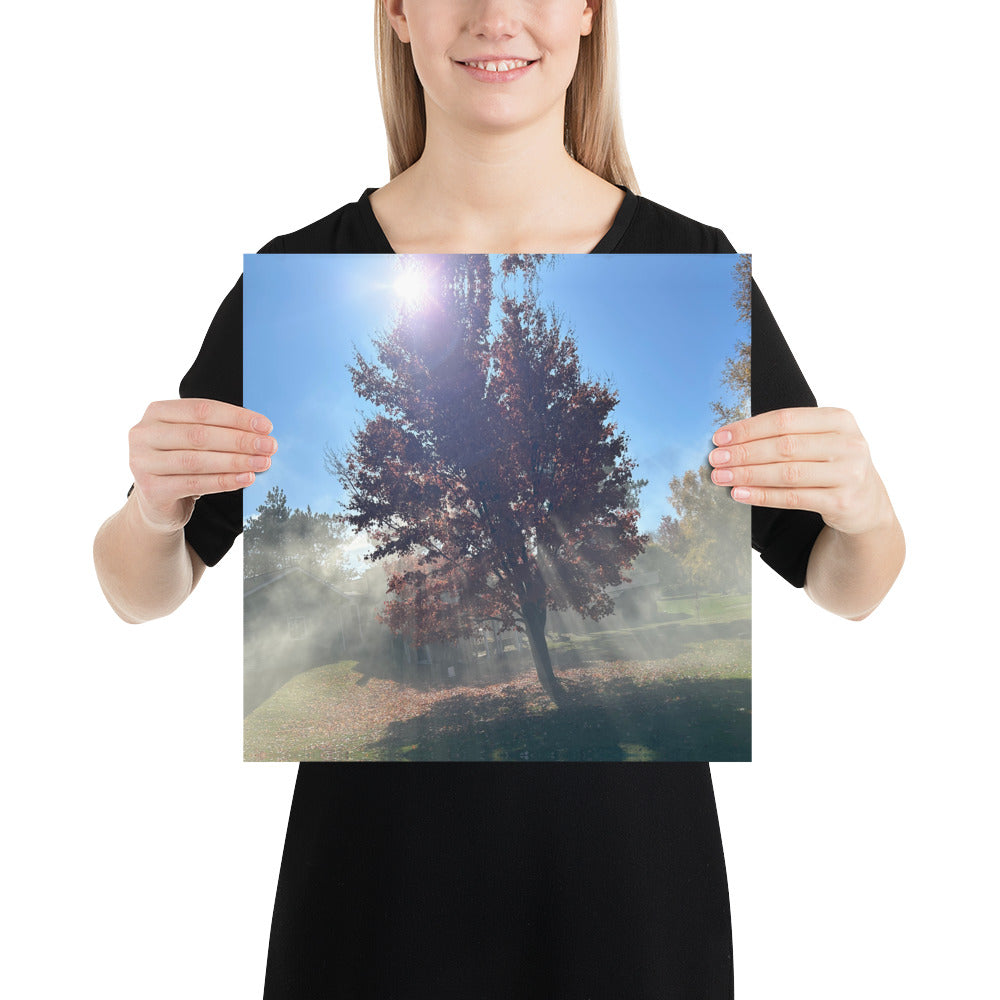 Smokey Tree Poster