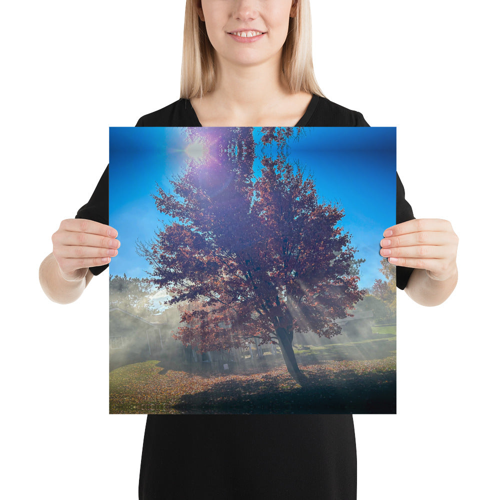 Smokey Tree Color Poster