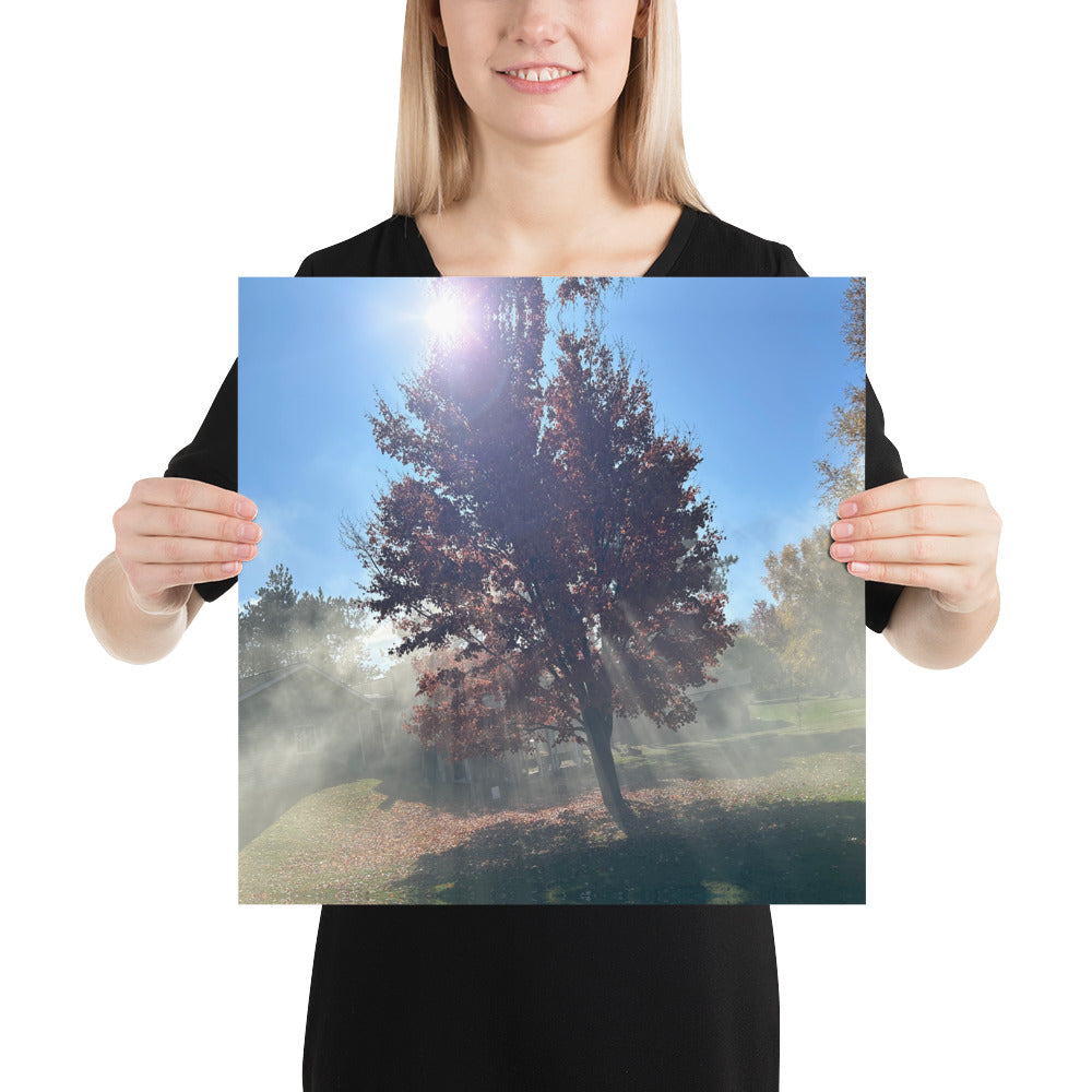 Smokey Tree Poster