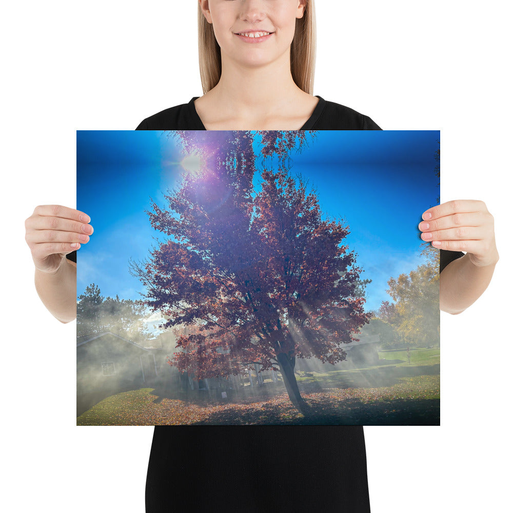 Smokey Tree Color Poster