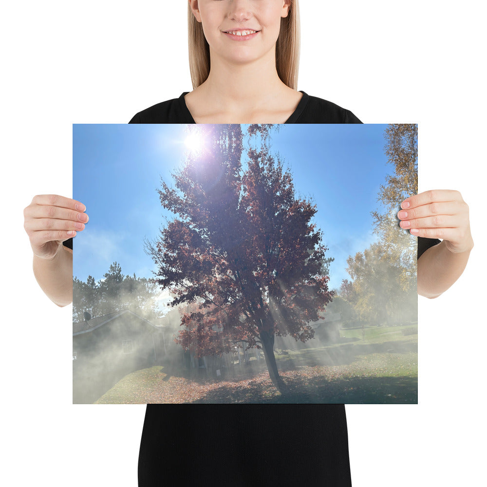 Smokey Tree Poster