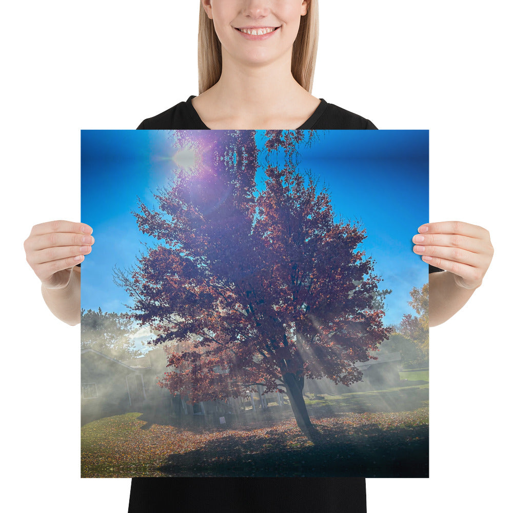 Smokey Tree Color Poster