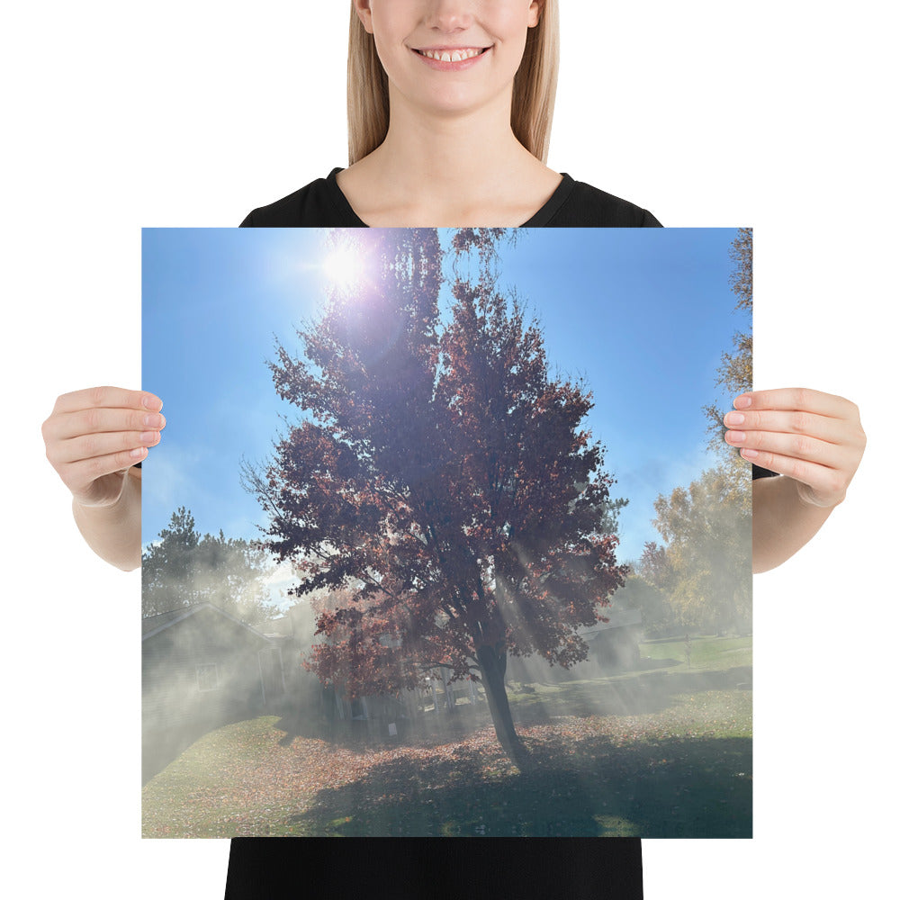 Smokey Tree Poster