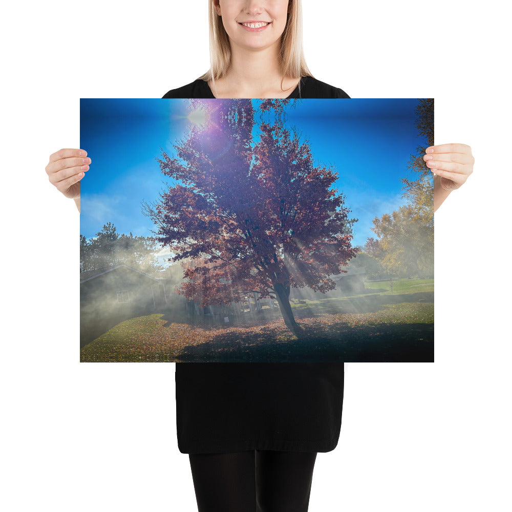 Smokey Tree Color Poster