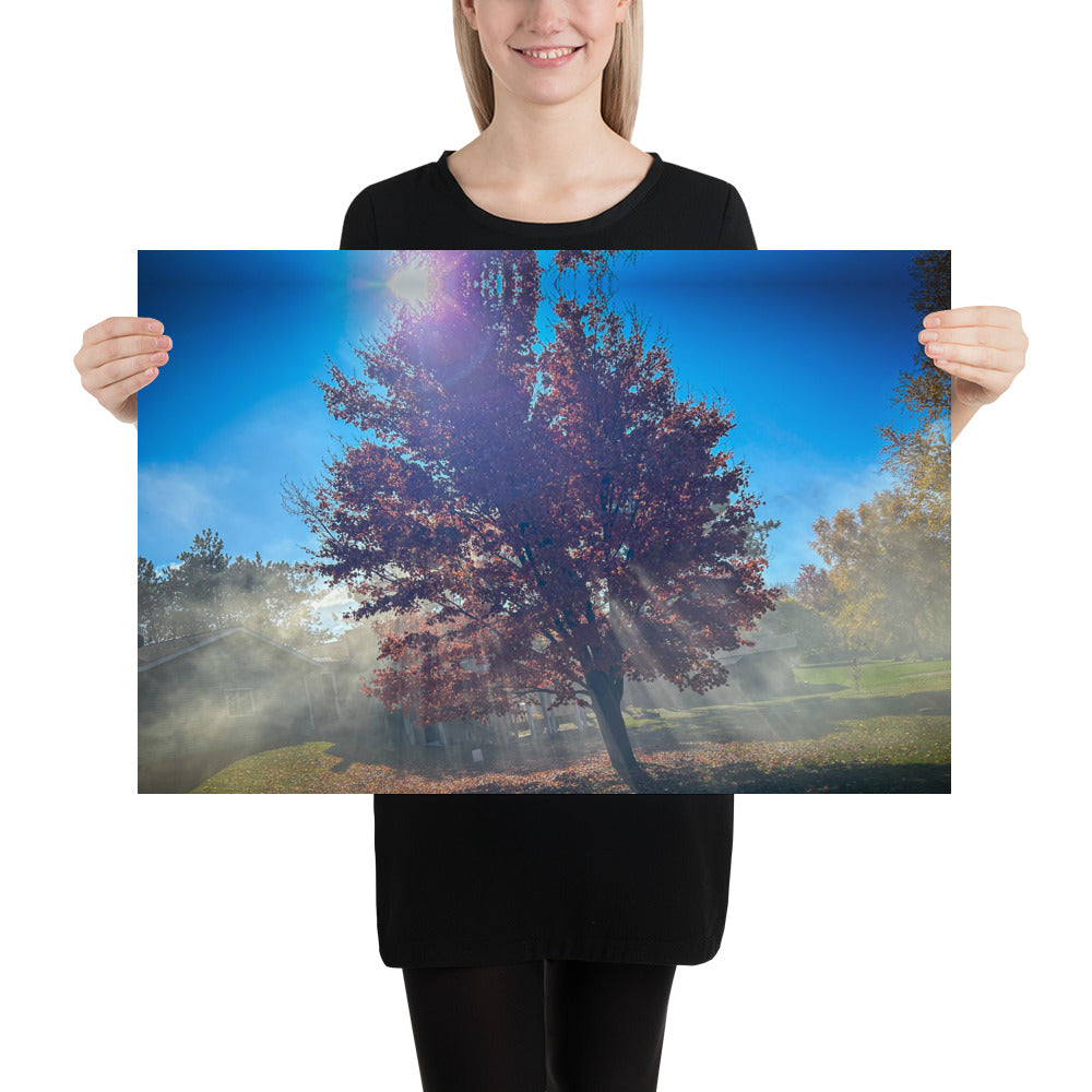 Smokey Tree Color Poster