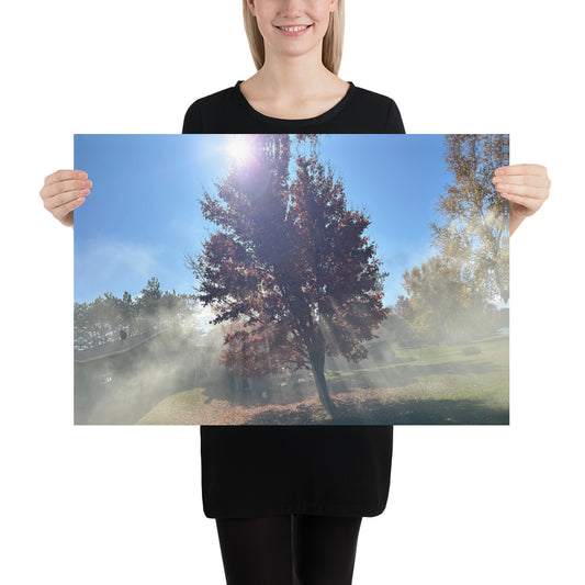 Smokey Tree Poster