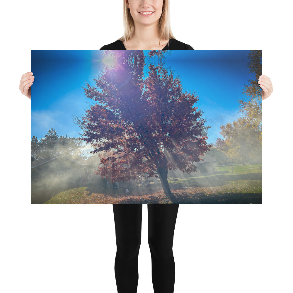 Smokey Tree Color Poster