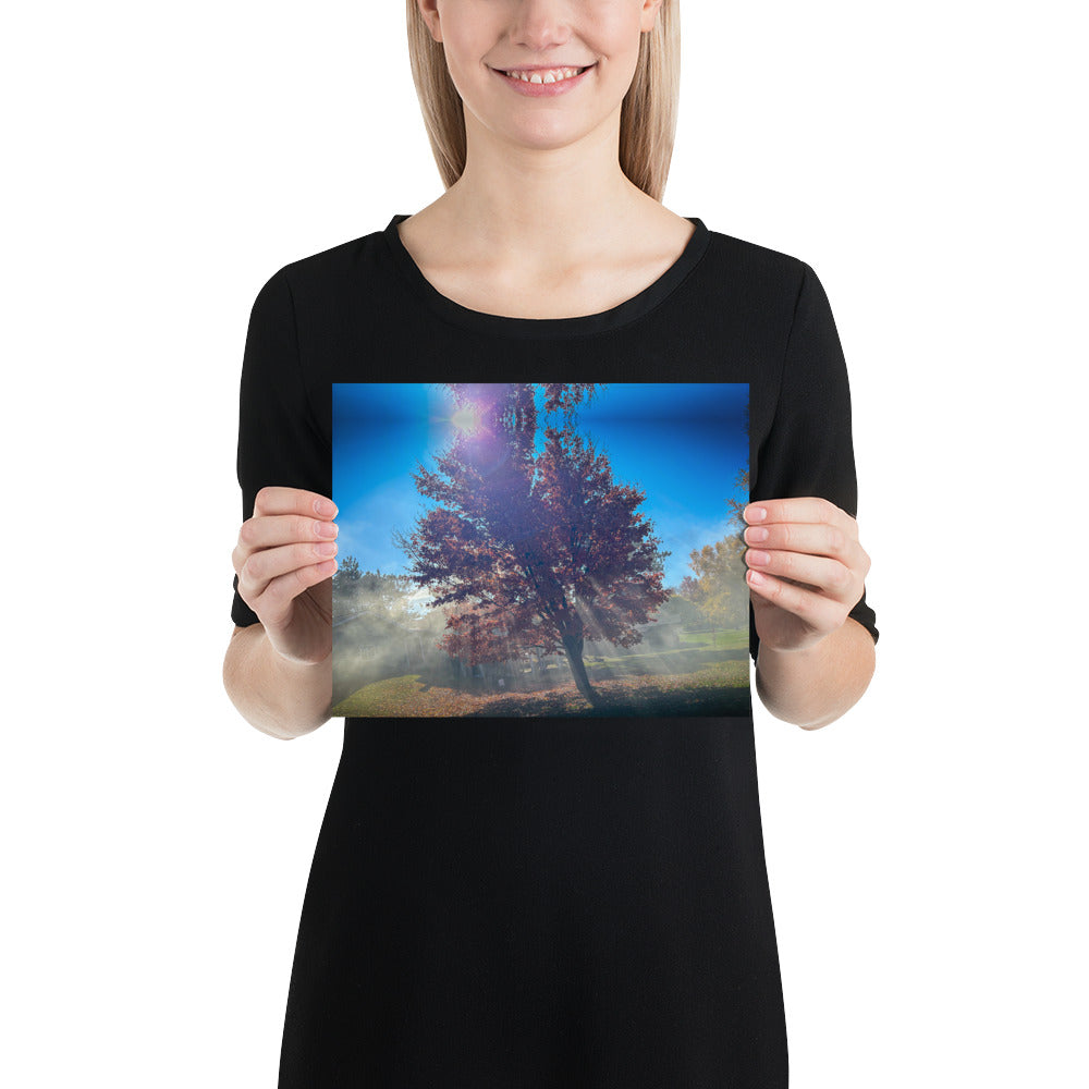 Smokey Tree Color Poster