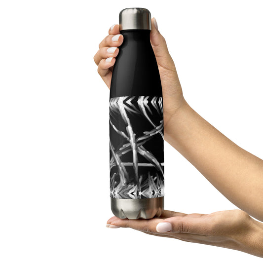 Glass Stainless Steel Water Bottle