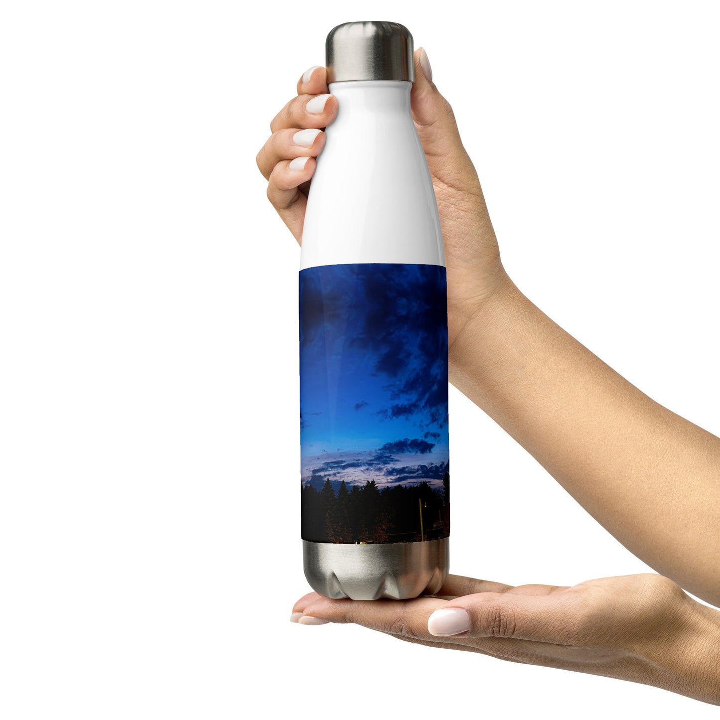 Summer Nights Stainless Steel Water Bottle